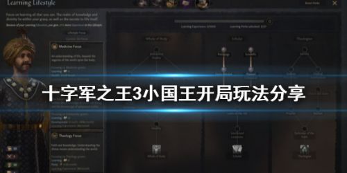 王国风云3小国王开局玩法推荐小王开局怎么玩
