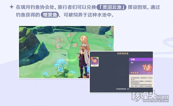 原神观赏鱼获取技巧分享 观赏鱼怎么获得