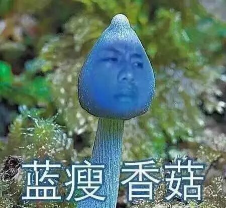 ͺܷʲô 㹽