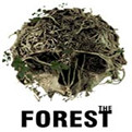 The Forest作弊修改版下载
