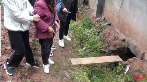 两孙女被奶奶推进粪坑溺亡 奶奶为何如此狠心