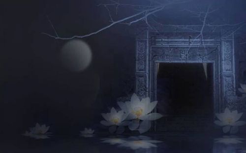 抖音我愿为你放下全部此生让我来渡是什么歌 歌曲名字歌词