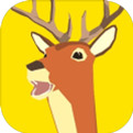非常普通的鹿app