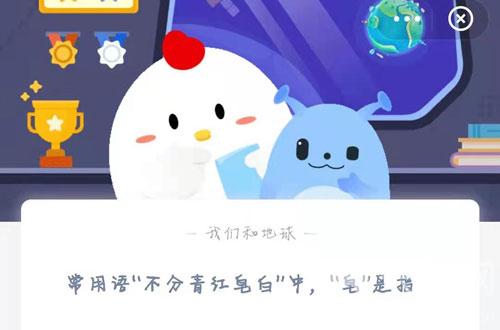 小鸡宝宝今日答案是什么2月24日 支付宝小鸡宝宝正确答案2月24日