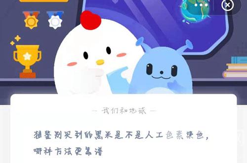 小鸡宝宝今日答案是什么4月30日