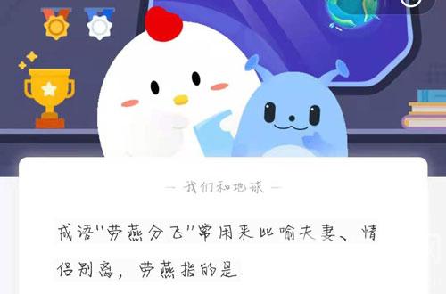 成语劳燕分飞常用来比喻夫妻情侣别离劳燕指的是