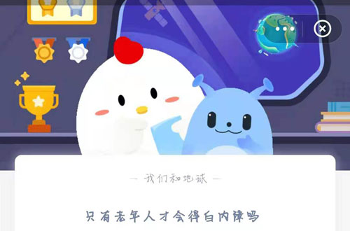 小鸡宝宝今日答案是什么6月10日