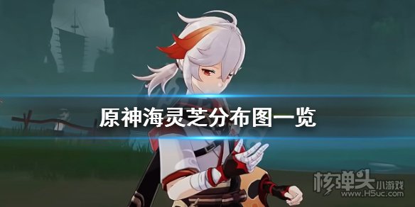 原神海灵芝哪里最多 海灵芝位置分布汇总