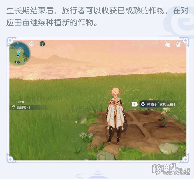 原神种植怎么玩 2.0尘歌壶种植系统玩法介绍