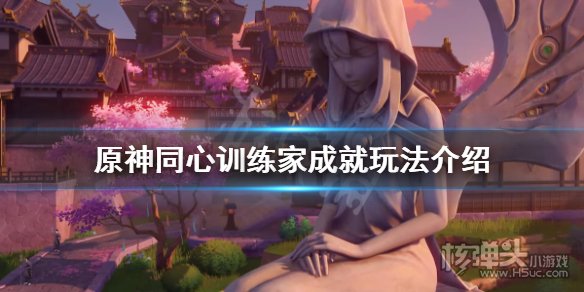 原神同心训练家怎么做 同心训练家成就完成攻略
