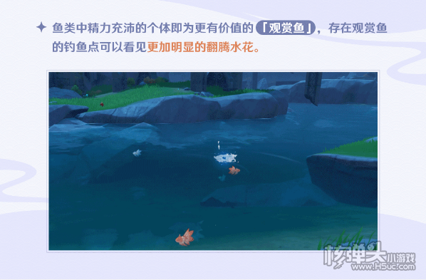 原神观赏鱼获取技巧分享 观赏鱼怎么获得