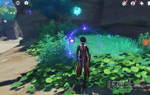 原神2.1版本仙灵位置汇总 2.1仙灵分布在哪里