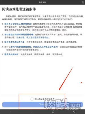 英雄联盟手游注销账号是什么意思