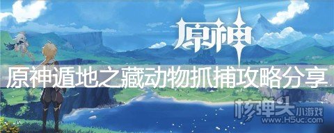 原神遁地之藏动物要怎么抓 原神遁地之藏动物抓捕攻略分享