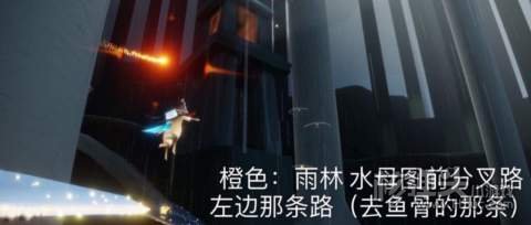 2022光遇3.16每日任务2