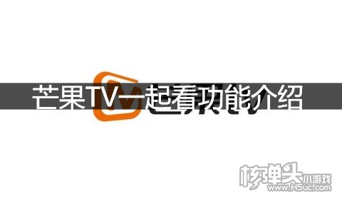 芒果TV一起看功能介绍