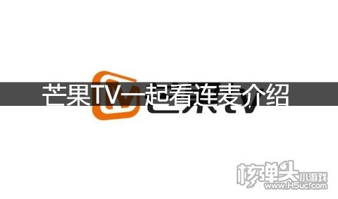 芒果TV一起看连麦介绍