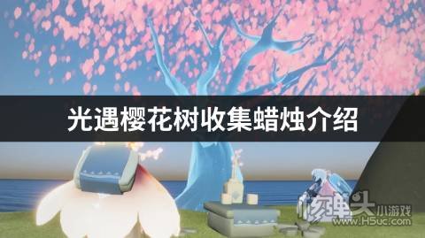 光遇樱花树收集蜡烛介绍 樱花树可以收多少蜡烛