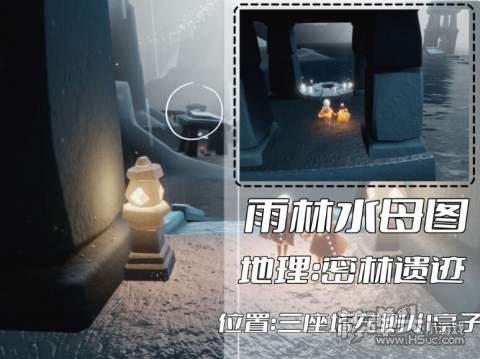 光遇2022表演季雨林冥想位置汇总