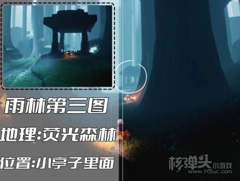 光遇2022表演季雨林冥想位置汇总