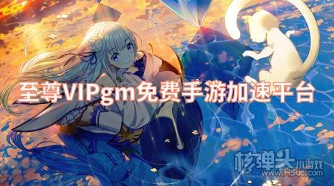 至尊VIPgm免费手游加速平台 有哪些免费的GM手游平台