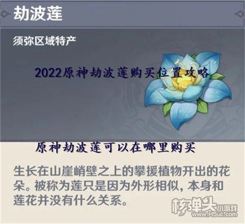 2022原神劫波莲购买位置攻略 原神劫波莲可以在哪里购买