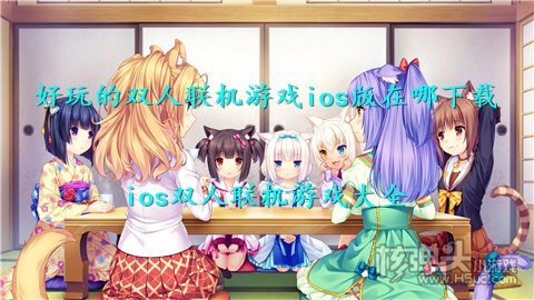 好玩的双人联机游戏ios版在哪下载 ios双人联机游戏大全