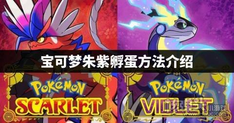 宝可梦朱紫怎么孵蛋 宝可梦朱紫孵蛋方法介绍