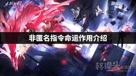 非匿名指令命运是什么 非匿名指令命运作用介绍