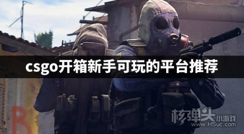 csgo开箱新手可玩的平台推荐 csgo新手用什么平台开箱好