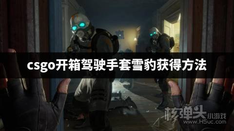 csgo开箱怎么开出驾驶手套 csgo开箱驾驶手套雪豹获得方法