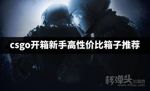 csgo新人开哪个箱子性价比高 csgo开箱新手高性价比箱子推荐