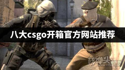 茄子csgo在哪个平台玩 八大csgo开箱官方网站推荐
