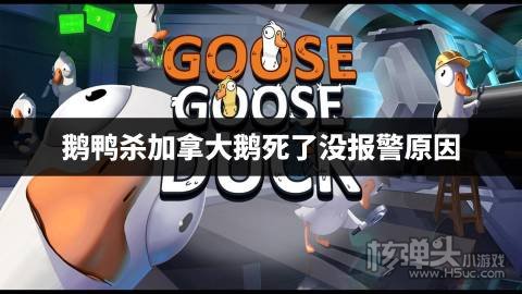 鹅鸭杀加拿大鹅死了没报警原因 加拿大鹅死了没报警的原因是什么