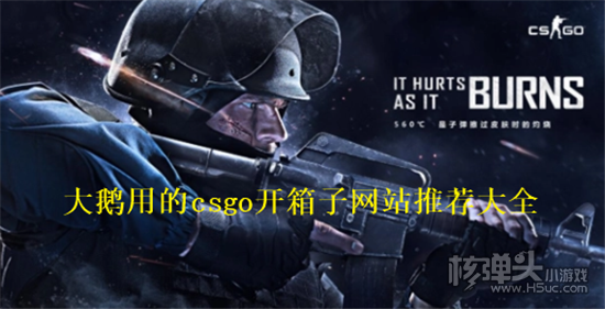 csgo大鹅开箱子的网站有哪些 大鹅用的csgo开箱子网站推荐大全