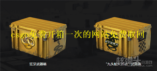 csgo免费开箱一次的网站免费取回 2023csgo免费开箱一次的网站大全