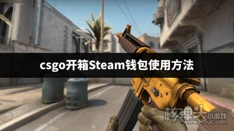 csgo开箱怎么用steam钱包付款 csgo开箱Steam钱包使用方法