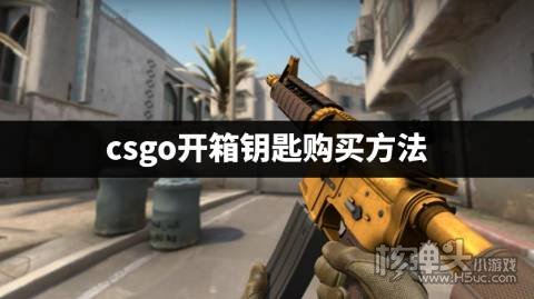 csgo开箱钥匙购买方法 在哪可以购买csgo开箱钥匙