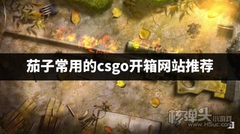 茄子csgo开箱用什么网站 茄子常用的csgo开箱网站推荐