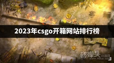 哪个csgo开箱网站最好用 2023年csgo开箱网站排行榜