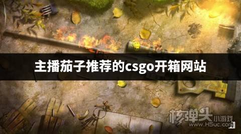 主播茄子推荐的csgo开箱网站 哪些csgo开箱平台最多主播用