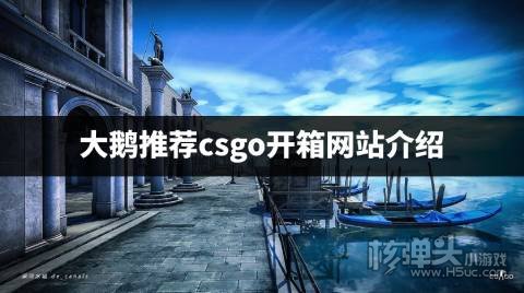 csgo大鹅开箱用的什么网站 大鹅推荐csgo开箱网站介绍