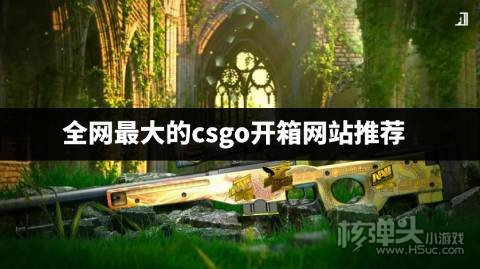 全网最大的csgo开箱网站有哪些 全网最大的csgo开箱网站推荐