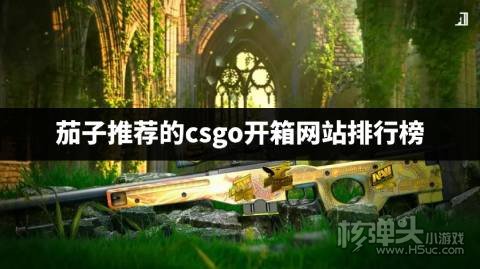 茄子推荐的CSGO开箱网站有哪些 茄子推荐的csgo开箱网站排行榜