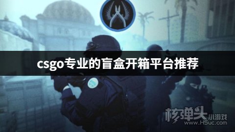 csgo专业的盲盒开箱平台推荐 csgo开箱专业的平台有哪些