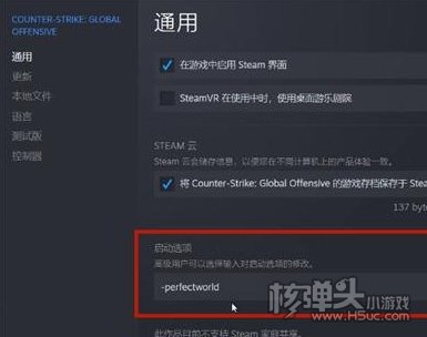 cs2无法连接cs2网络怎么办 无法连接cs2网络解决方法