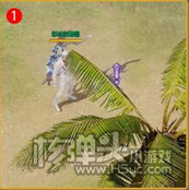 命运方舟没关系的妖精女士怎么做 没关系的妖精女士任务攻略