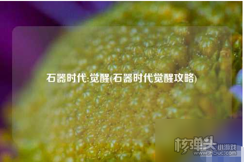 《石器时代:觉醒》怎么玩 《石器时代:觉醒》玩法攻略分享