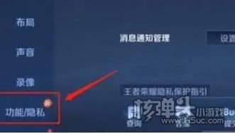 《王者荣耀》v10皮肤共享有限制吗 v10皮肤共享设置方法