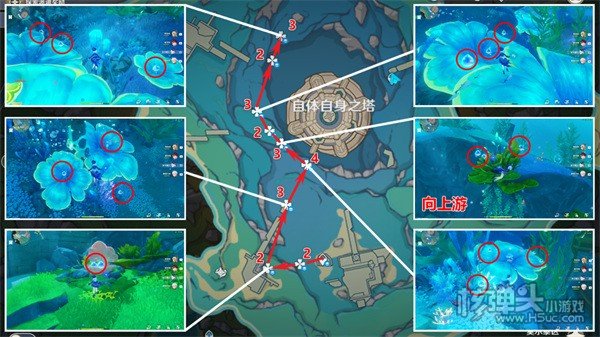 《原神》初露之源在哪 初露之源采集路线一览